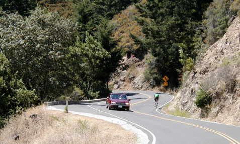 this figure depicts a car and a bicycle on a mountain tree lined road